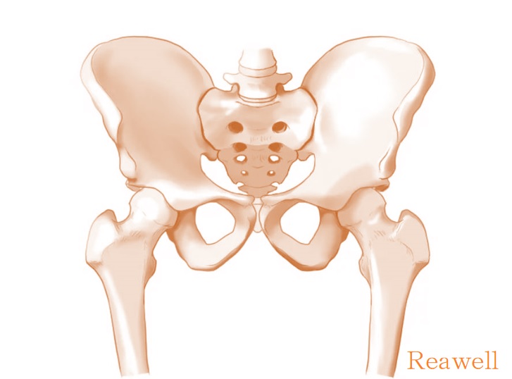 上野で女性におすすめ/下半身ダイエット/パーソナルトレーニングジムをお探しなら「Reawell」